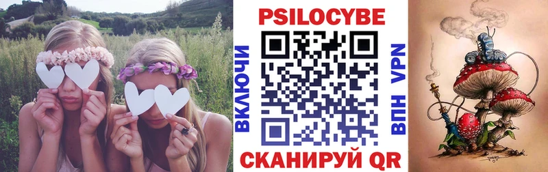 Псилоцибиновые грибы Magic Shrooms  Купить закладки  Алексин 